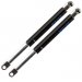 2Pcs Rear Window Gas Struts Lift Support for BMW E39 528i 530i Wagon 51248190688 German Made